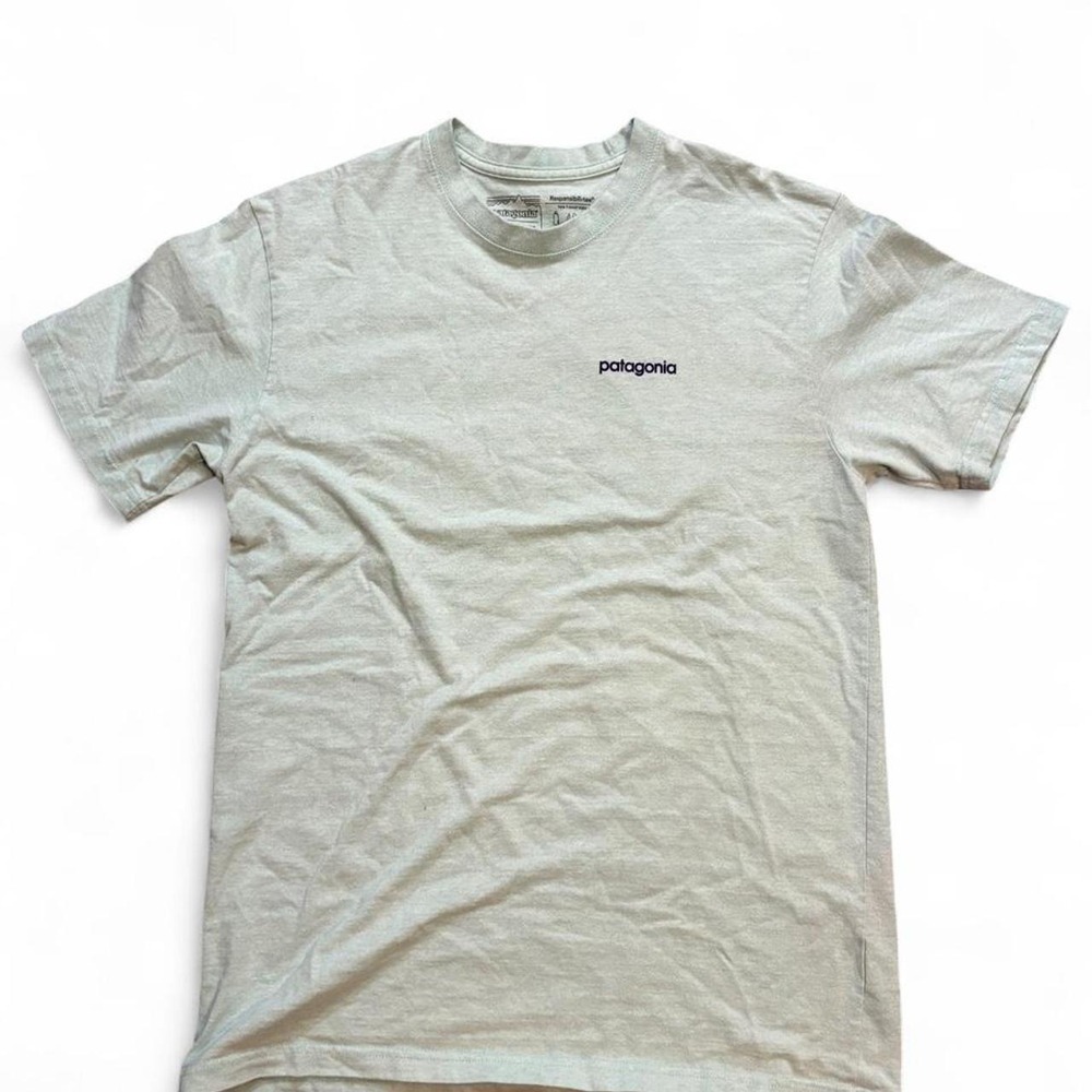 Patagonia Fitz Roy Responsibili-Tee Mens M Mint Green Logo Graphic T Shirt
